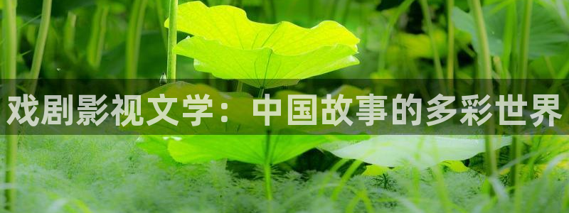 秋霞午夜在线电影