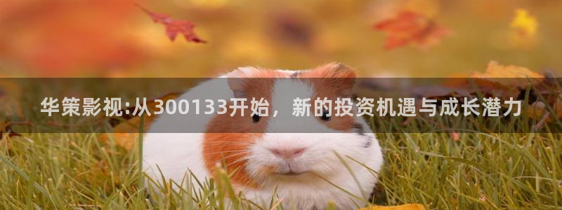 神马电影网秋霞影院