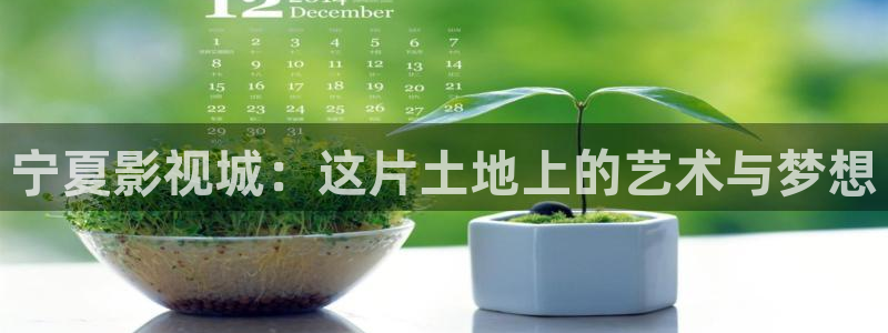 秋霞电影院午夜伦高清a