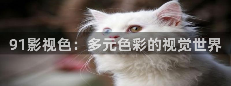 秋霞影院秋霞影院